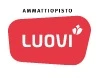 Ammattiopisto Luovi Oy